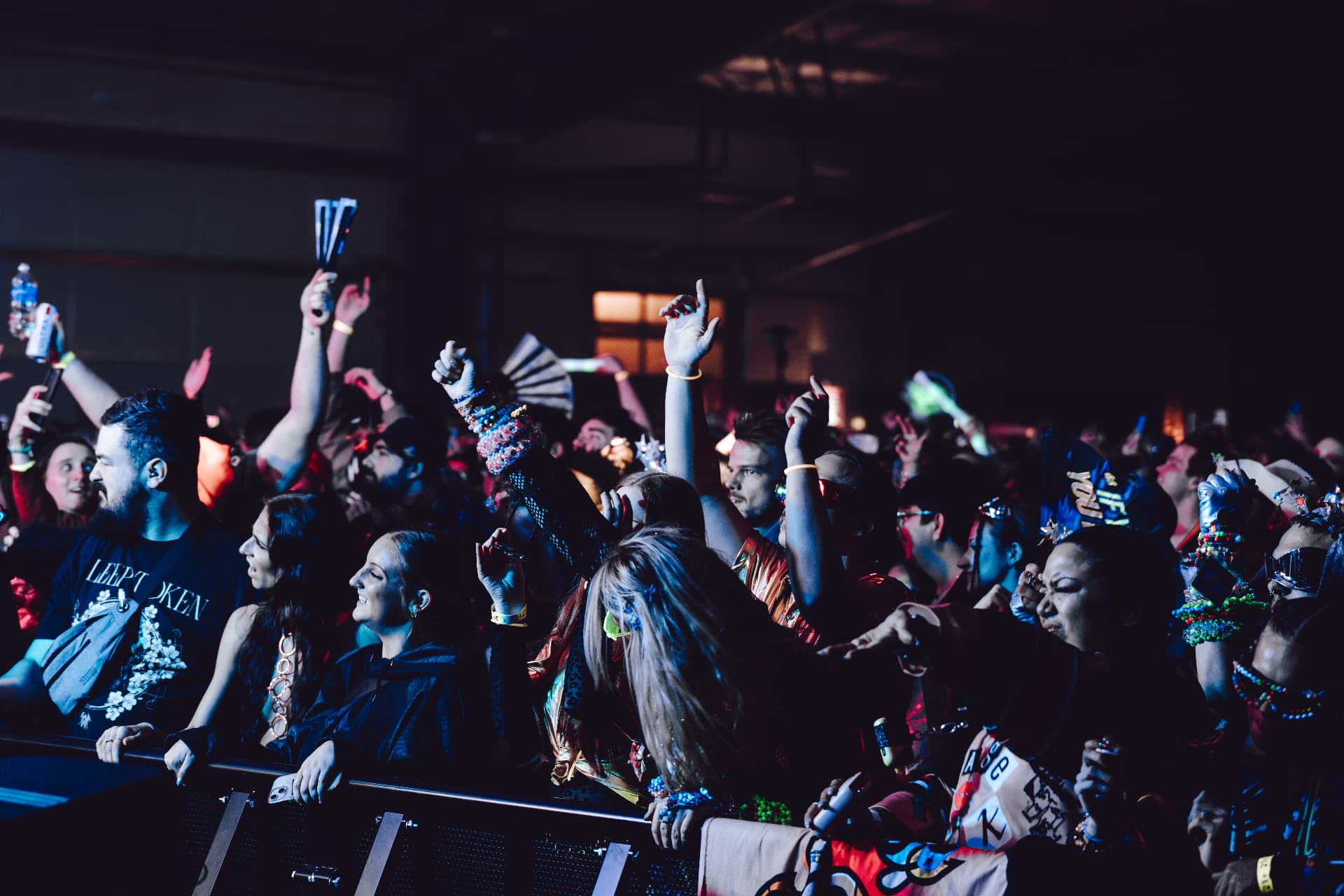 Crowd at a live show